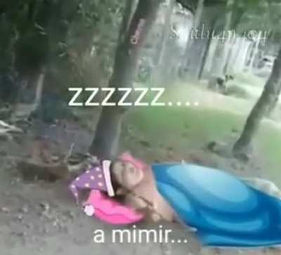 ZZZZZ
