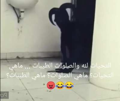 صديقي اريك عند الماعز