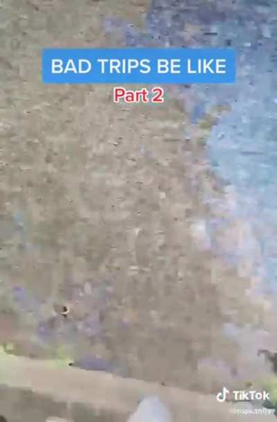 sometimes tiktok is actually really creative