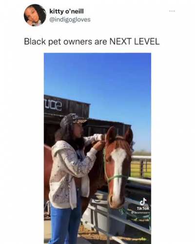 Next Level Pet owners