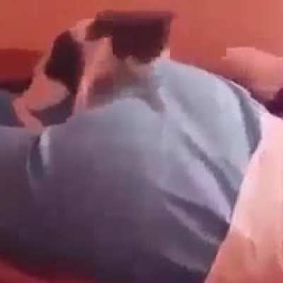 Chomp