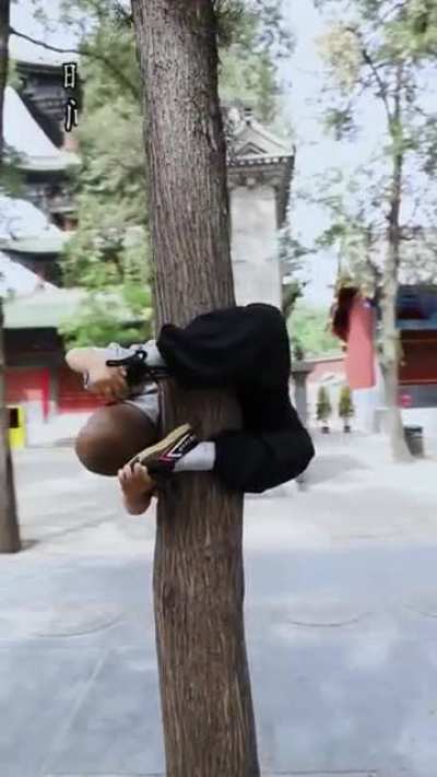 This kids' discipline(via sanmaokungfu)