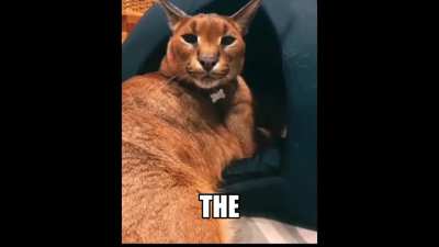 the