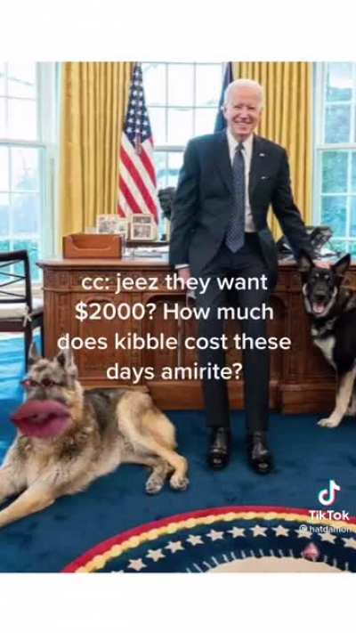 dogs dont even say mao smh