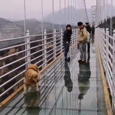 Don't leave me human