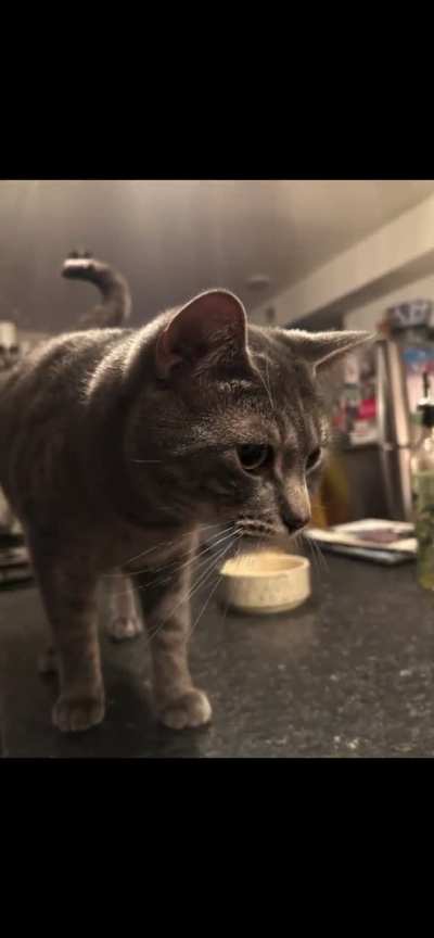 TIL you can use iPhone Spatial Scene to make a wigglegram from a single picture, pretty crazy!