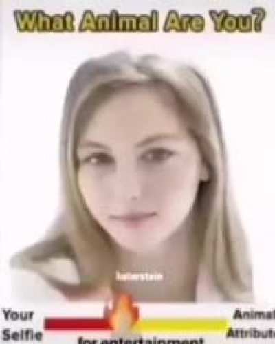 cum³