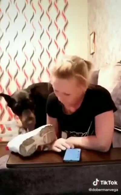 🐕‍🦺 вот собачий язык, а не то что вы думаете 🐕‍🦺