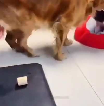 Sharing is caring