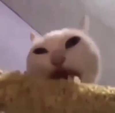 hangry wunk