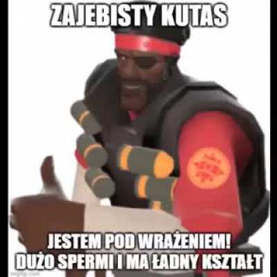 piekny kogut brachó