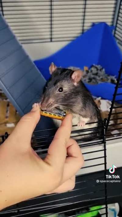 Tiny harmonica