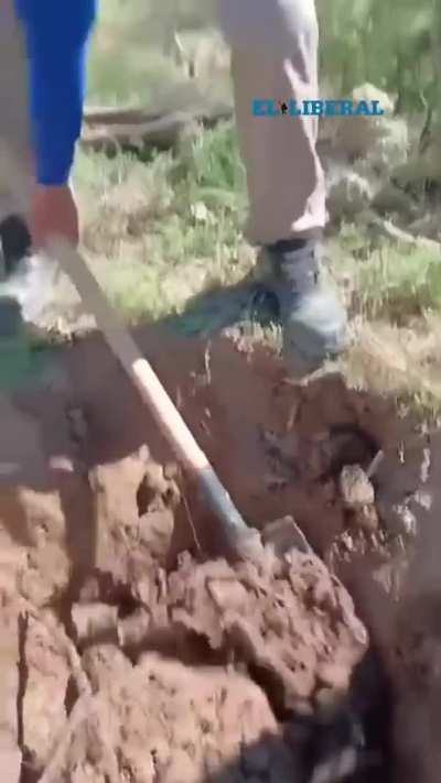 Santiago del Estero: Trabajadores realizaban refuerzos en las defensas del río, y se encontraron con una tinaja indígena