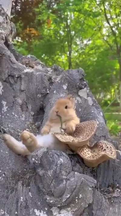It knows how to enjoy life!