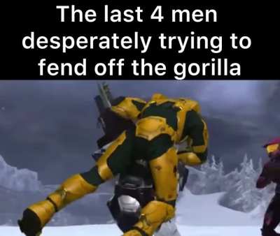Had to participate in the gorilla meme