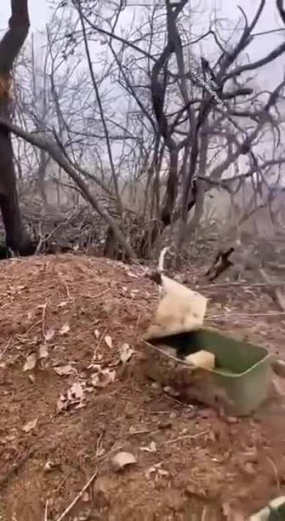 POV & real sound - Bahkmut 'no mans land' what the AFU see & hear as they await next Russian attack