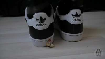 Roaches 