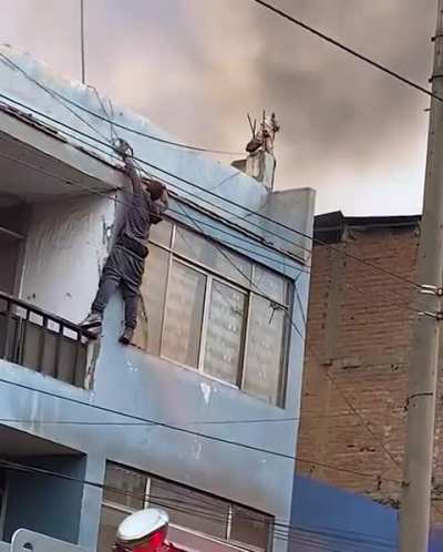 Man Scales Burning Building To Save Dog