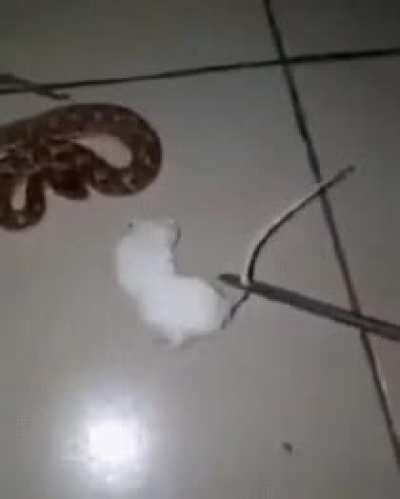 Kkk