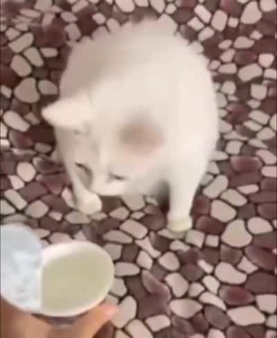 Bleh!