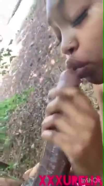 BBC Worshipper