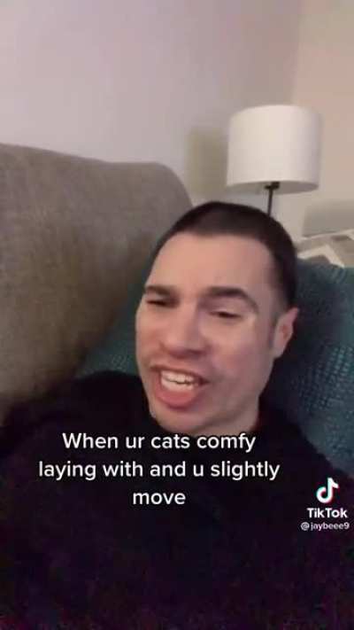 I wish I could send this to my cat