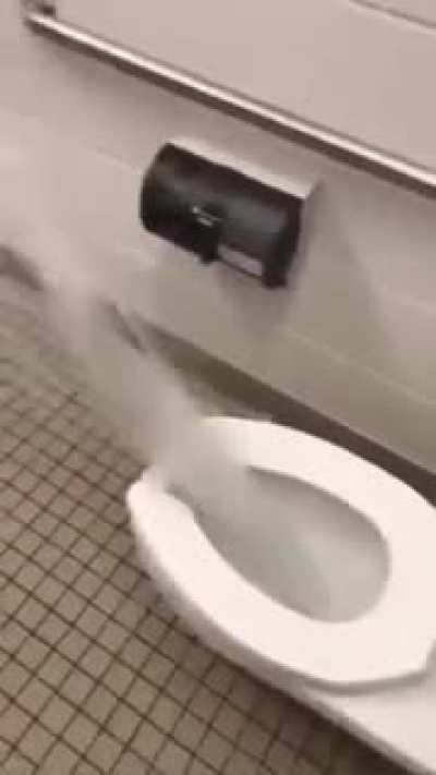 Garnt`s bidet