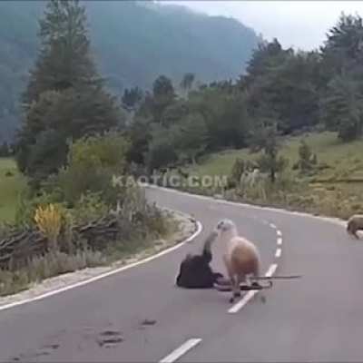 Wait till the end