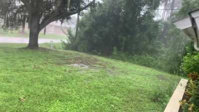 Afternoon downpour in SW Florida