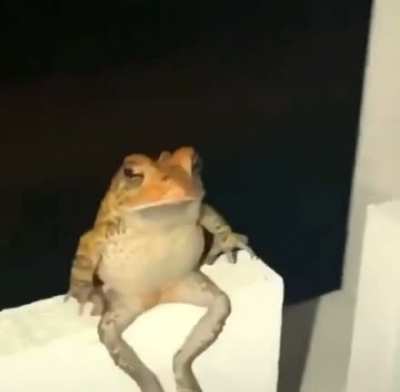Blursed bro