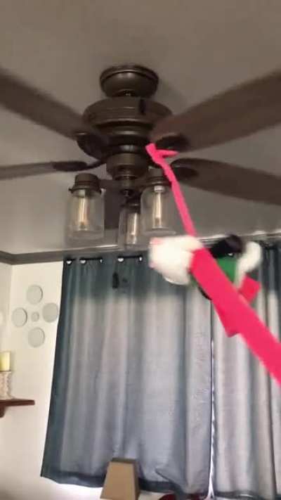 Ralsei Revolving