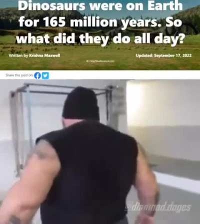 🗿
