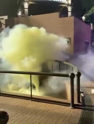 Portland police throw gas canisters at peaceful protestors BEFORE announcing they needed to leave (originally uploaded to TikTok and seems to be from 6/2/2020, the day Mayor Ted Wheeler said there would be no curfew bc of the peaceful manner of the protes