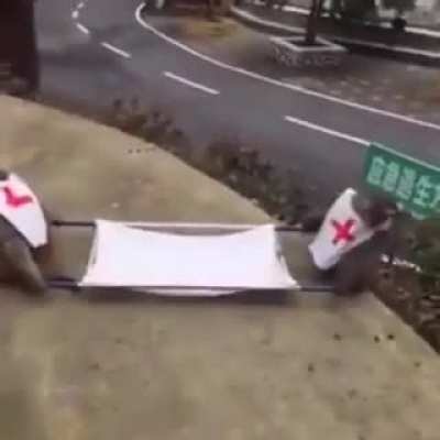apeambulance