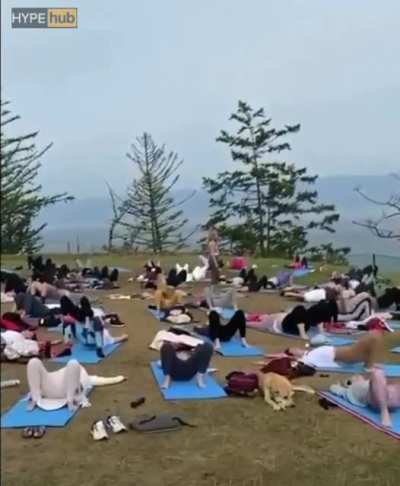 Страш<wbr>но. Очень страш<wbr>но. Мы не знаем что это такое...