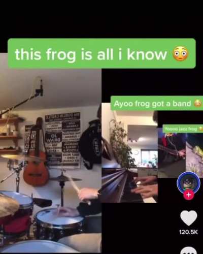 Musical Frog