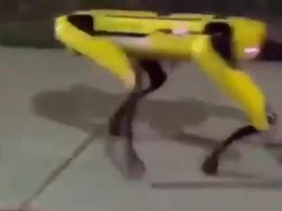 Racist fucking robot