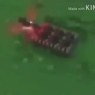 War