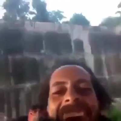 papagaio raro