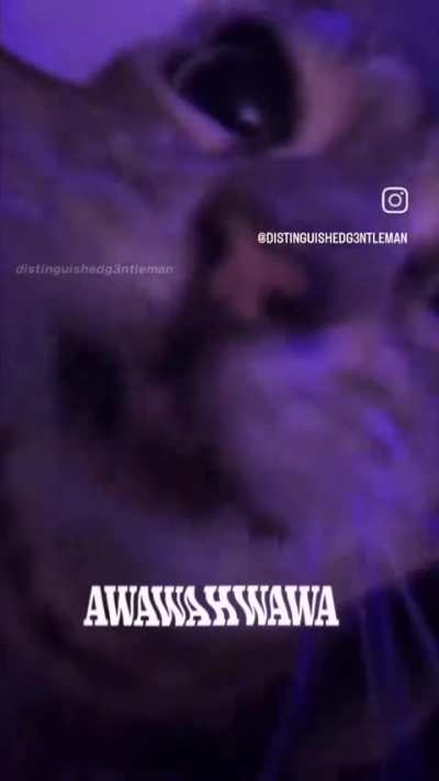 WAAA-