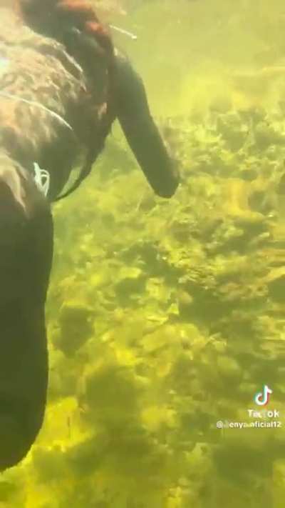 Water under water