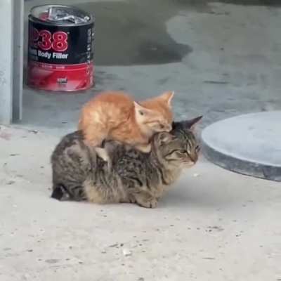The safest spot..(OC)
