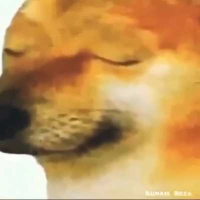 Anime?