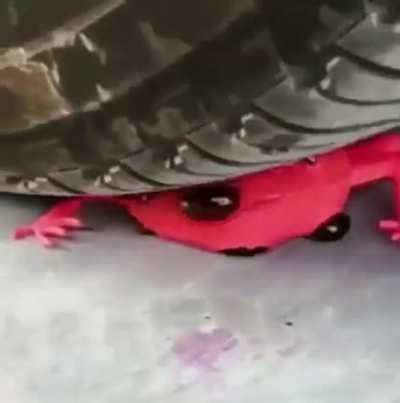 Gore