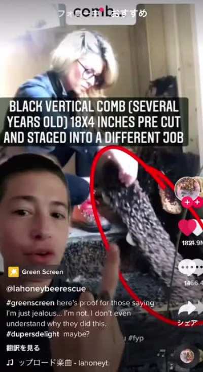 Proof texasbeeworks on TikTok could have faked all her videos.