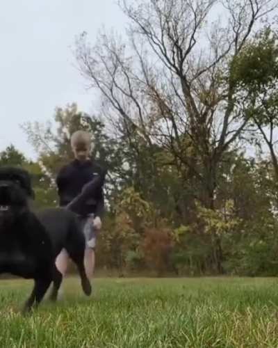 Really satisfying to watch.