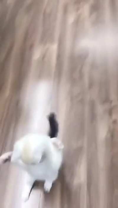 Are You Scared Human?