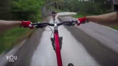 Abandoned bobsled track