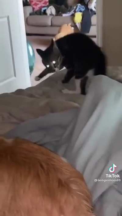 Here comes the boy