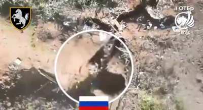 Ukraine's 1st Tank Brigade 